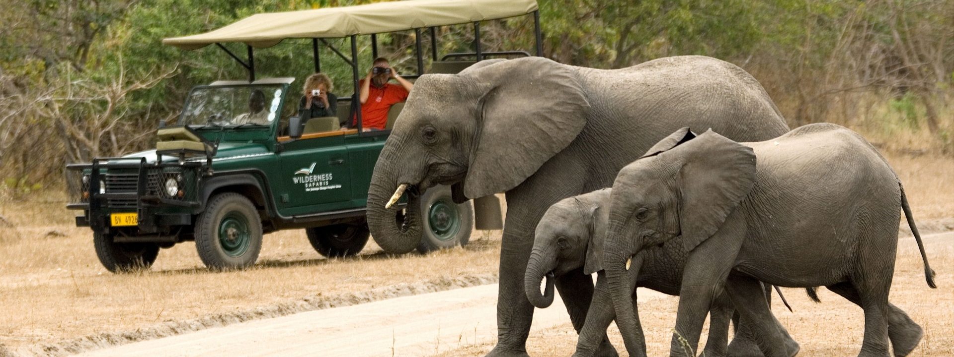 Game-drive-with-elephants-Dana-Allen-1920×720