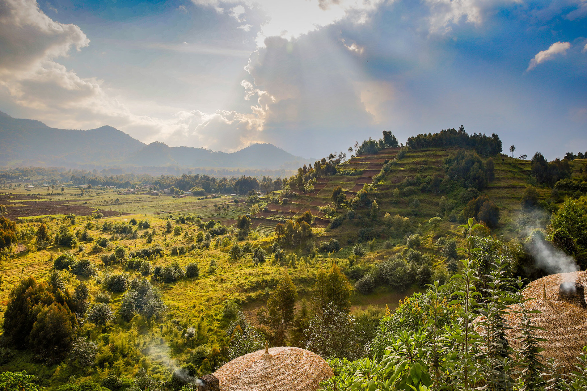 rwanda volcanoes national park